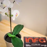 Fleur Creme Apartment